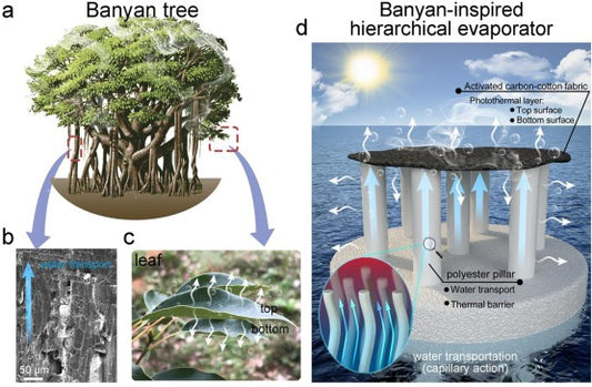 Banyan Tree Strategy - Especially for Project Managers and Start-up aspirants